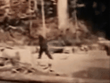 Bigfoot.gif