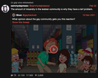 dylan-misandry.png