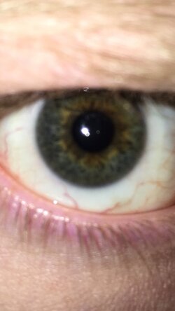 eye 1.jpg