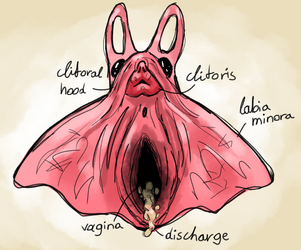 nsfw-2.png