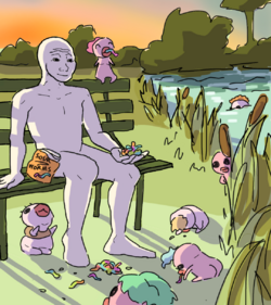 13.png