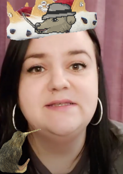 1677206245421.png
