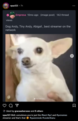 1677213336263.png