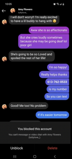 Screenshot 2023-02-24 at 16.31.32.png