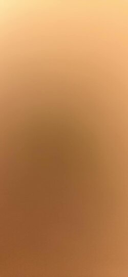 333247802_575727691240178_2943480104820441925_n.jpg