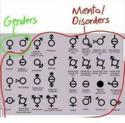 genders-do-gender-mental-disorders-2866331.png