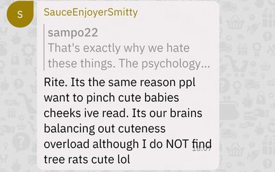 Screenshot_20230225-182030.jpg