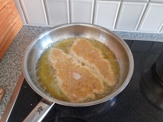 schnizel2.jpg