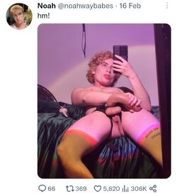 Screenshot_20230226_155156_Twitter.jpg