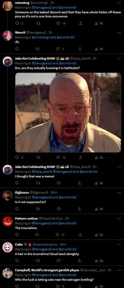 tom3.jpg