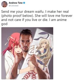 Anime Tate.jpg