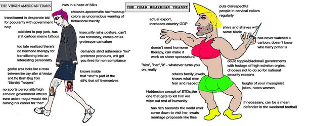 us_trans_vs_br_tranny.jpg