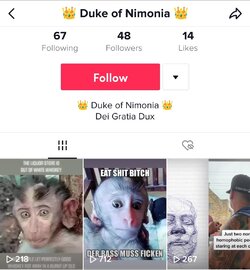 duke2.jpg