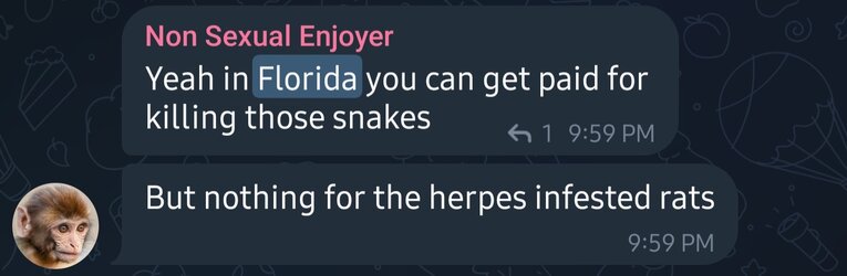 Screenshot_20230227-130408_Telegram.jpg