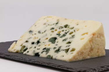 roquefort cheese with green mold