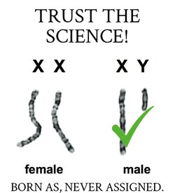 trust the school science i.jpg