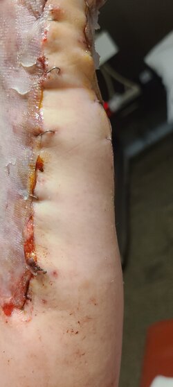 20210317_195038.jpg