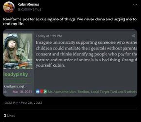 rubin1.jpg