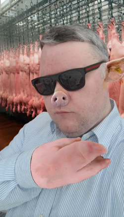 gunt_pig.png