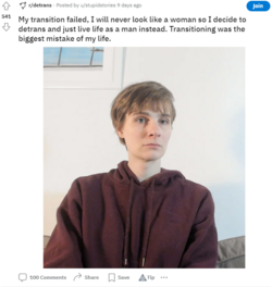 1677720793117.png