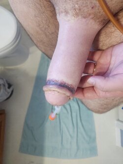 20221106_094250 Large.jpeg