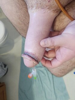 20221106_094259 Large.jpeg