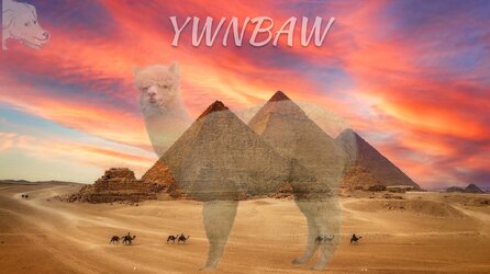 Alpacaofegypt.JPG