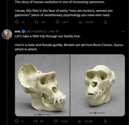 totes similar 2.PNG