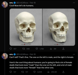 totes similar 4.PNG