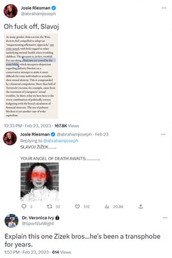 zizek.jpg
