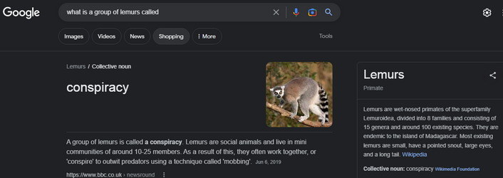 group of lemurs.png