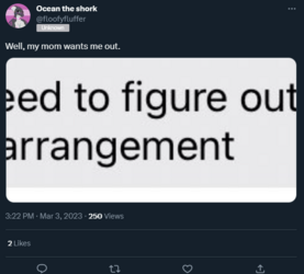 1677861064362.png