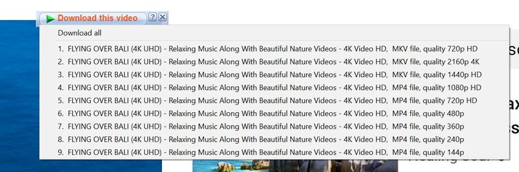 IDM.jpg