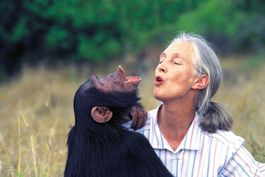 jane-goodall-Biography-for-Kids_1024x1024.jpg