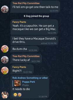 Screenshot_20230302-184200_Telegram.jpg