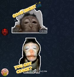 Screenshot_20230302-190106_Telegram.jpg