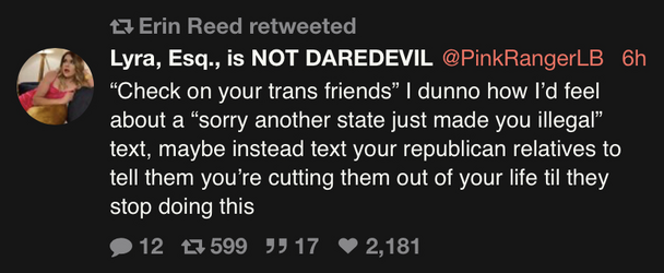 Erin Reed (@ErinInTheMorn)  nitter.png
