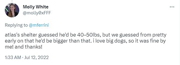at5.jpg