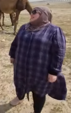 1677999733317.png