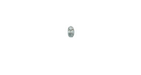 embryode.png