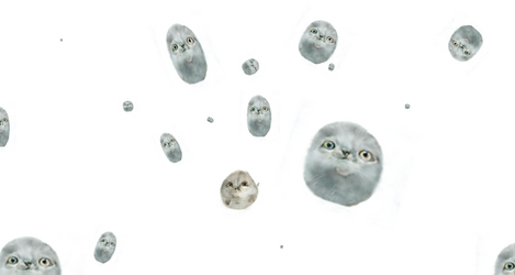 newtraits.png