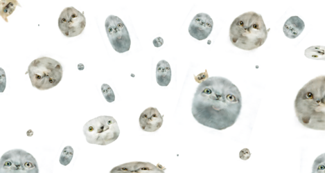moreameebas.png