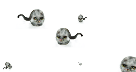 evolves.png