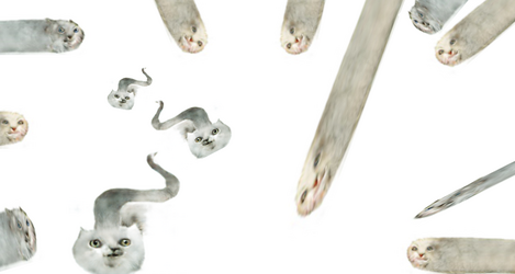tubecats.png