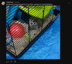 Screenshot 2023-03-05 at 11-56-26 Foodie Beauty - YouTube.png