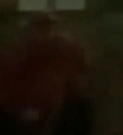 what the fuck am i looking at.png