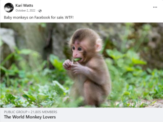 Kari Watts looking to buy.png
