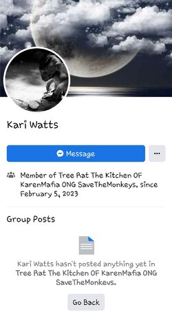 Kari Watts tree rat kitchen.jpg