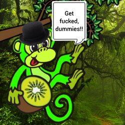rmm kiwi.jpg