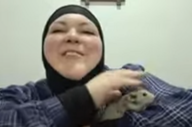 1678056006505.png